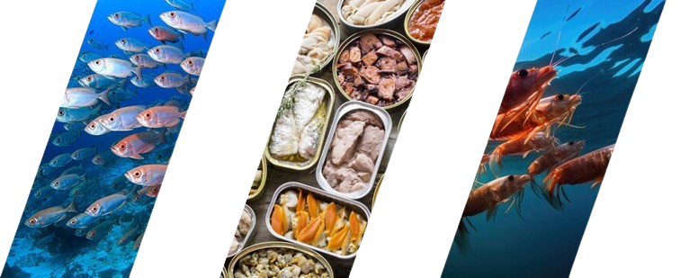 Seafood Platform